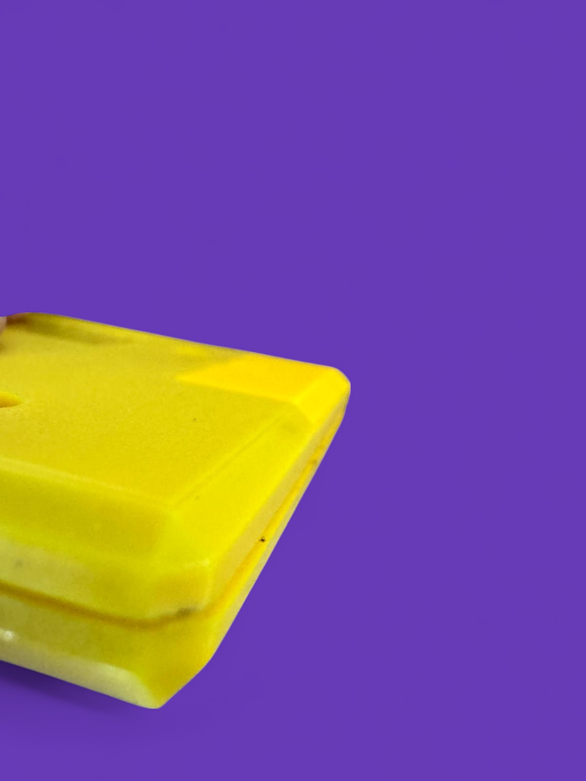 Battery Cover per Shogun – Game Wizard – Frogs_cod.044